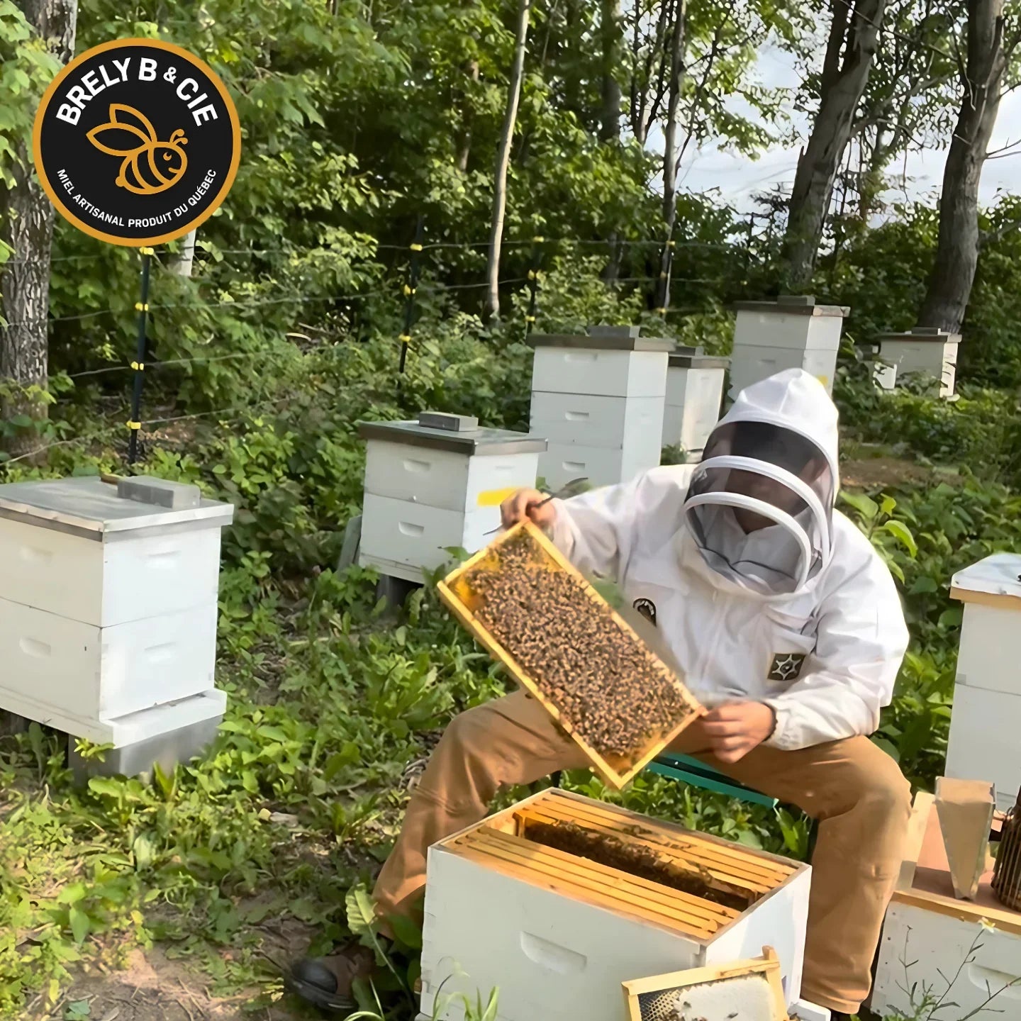 Les piqûres d'abeille : Causes, effets et prévention